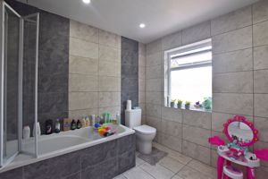 Photo 13- click for photo gallery